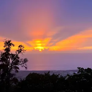Mango Sunset United States